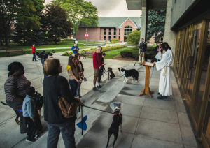 Nature shines on St. Francis Day blessing
