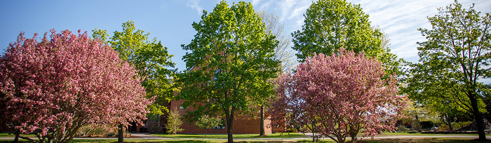 Cybersecurity focus of new IT initiative