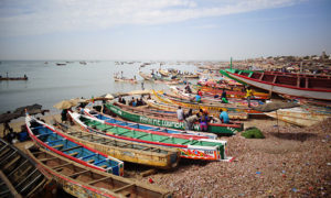 Study trip to Senegal