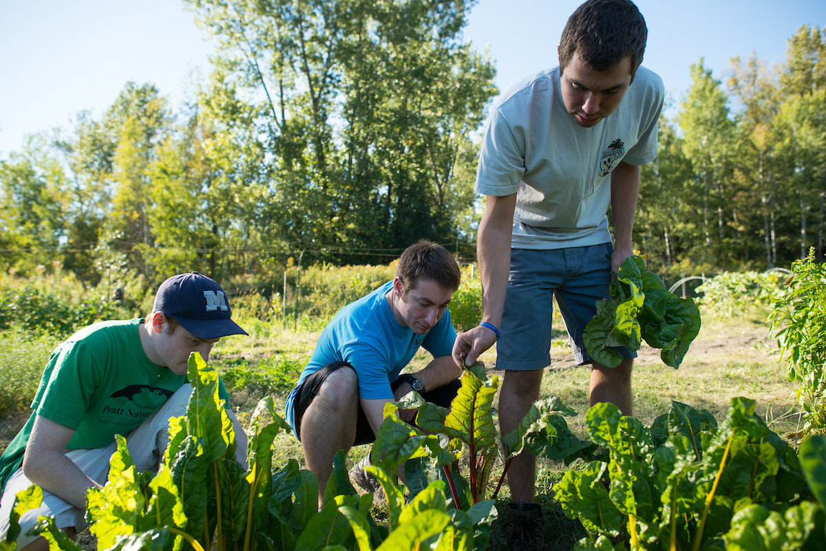 Students working on Farm