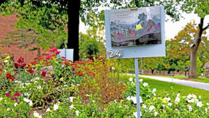 Biology through storytelling