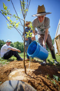 Institute for the Environment - A man waters a tree at the Farm