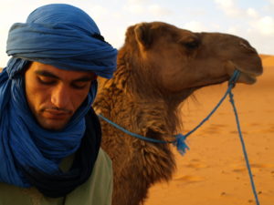 camel