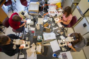 College announces new graduate certificate in Public Health Equity