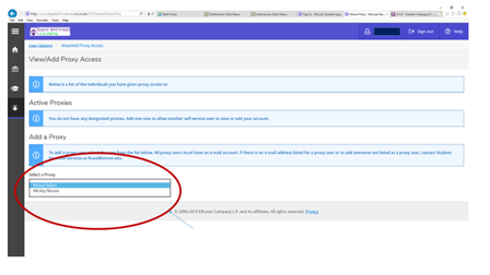 Proxy user access screenshot
