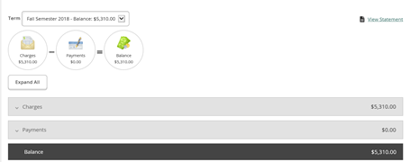 proxy user make a payment 1