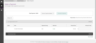proxy user make a payment 2