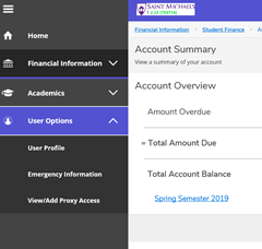 Proxy User Options Screenshot