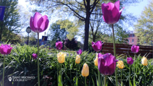 Flowers at Saint Michael's College
