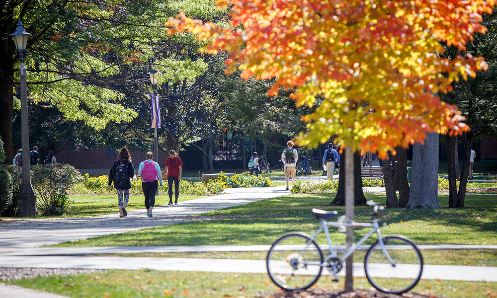 Walkway at Saint Michael's College