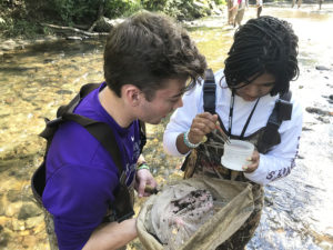 stream
