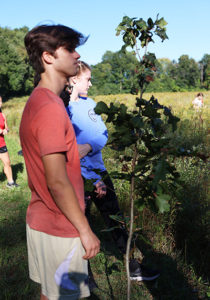tree man