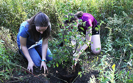 Tree-giveaway surplus leads to windfall for Saint Michael’s