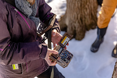 For biology students, trail cameras give peek at life around logs