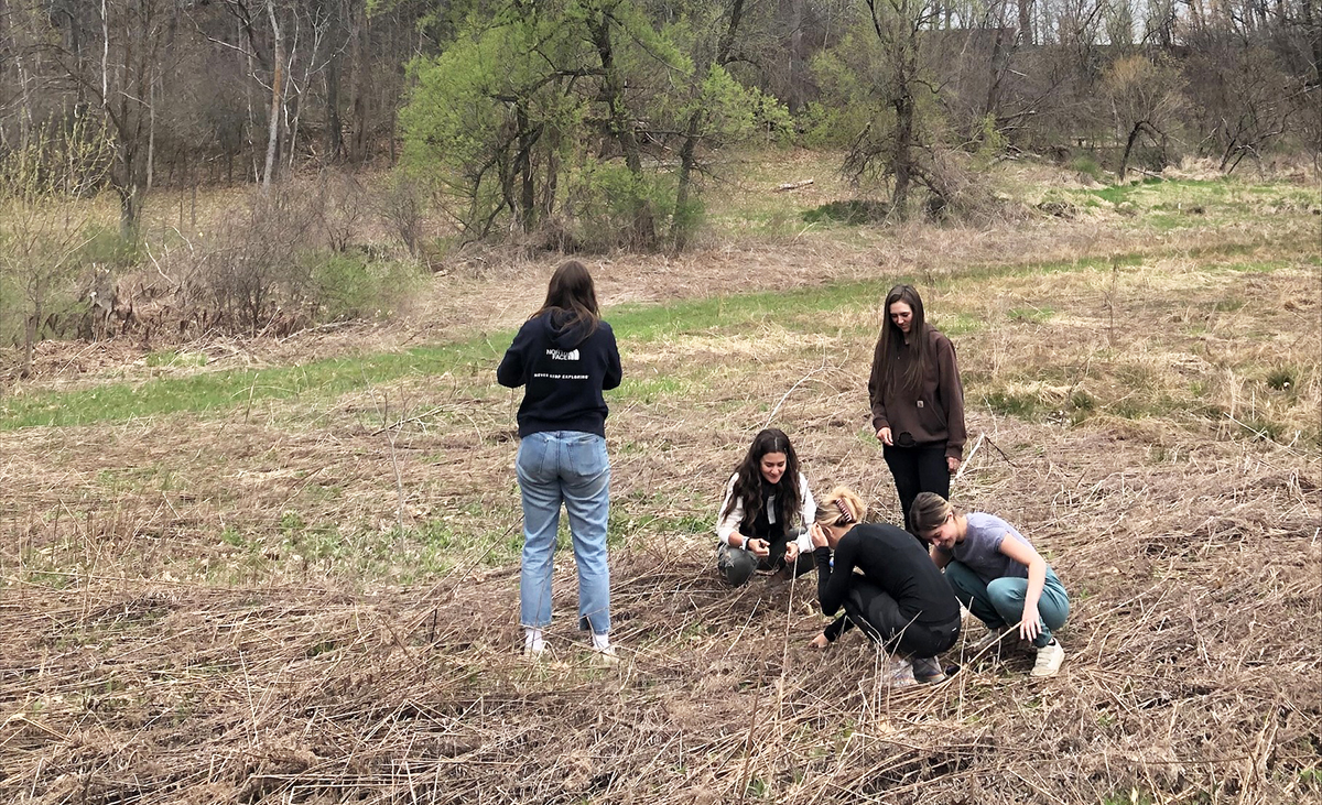 plant group