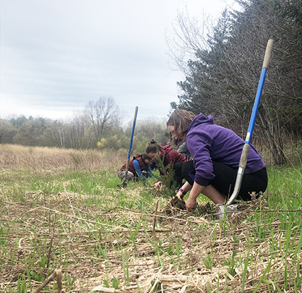 shovel line