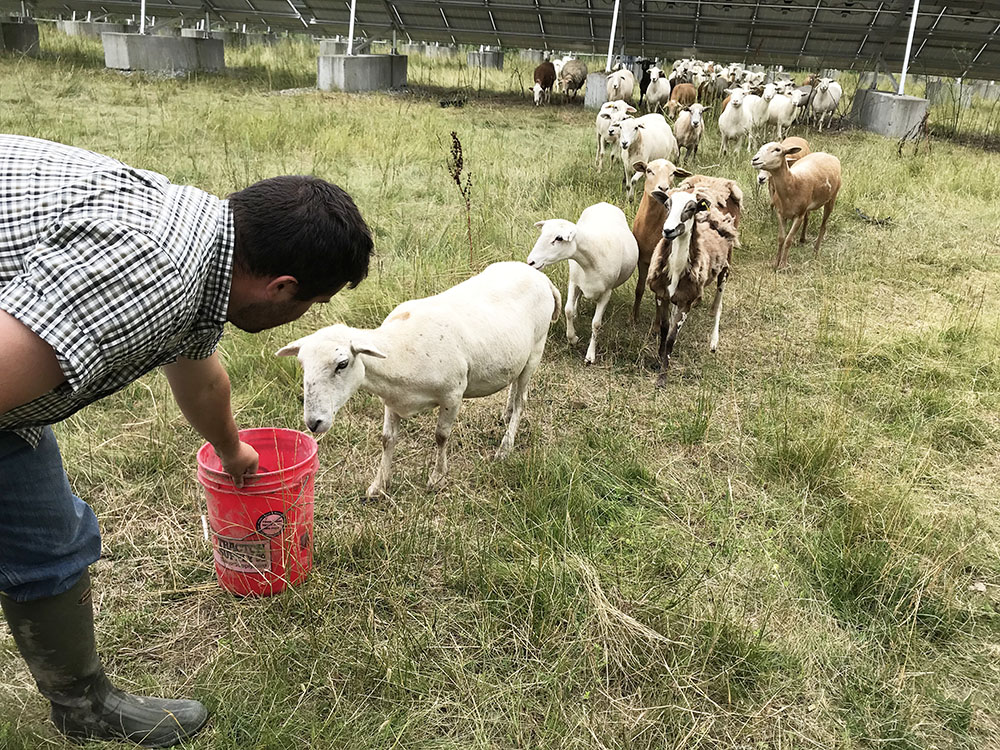 with farmer