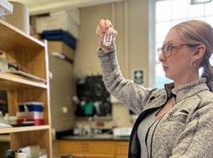 Summer research topics for 2022 range from spiders to poetry