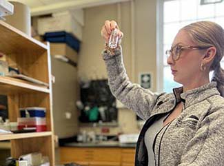 Summer research topics for 2022 range from spiders to poetry