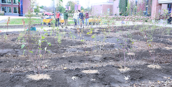 planting