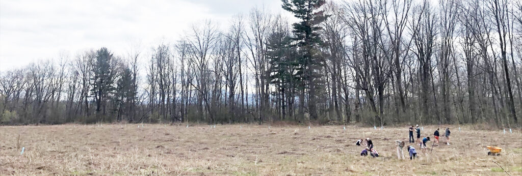 Tree-planting plans for Earth Week speak to environmental commitment