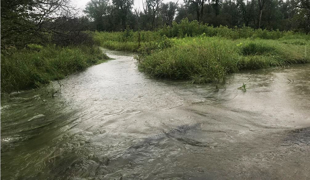 bottom flood
