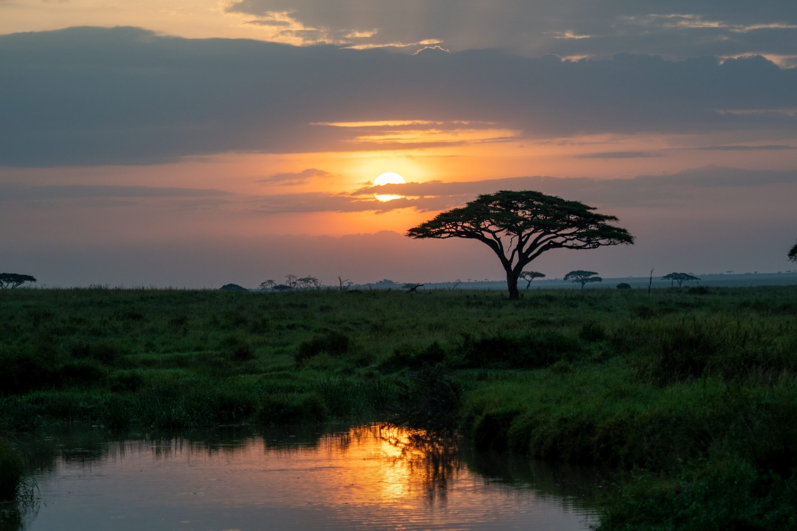 Category: Landscape, 
