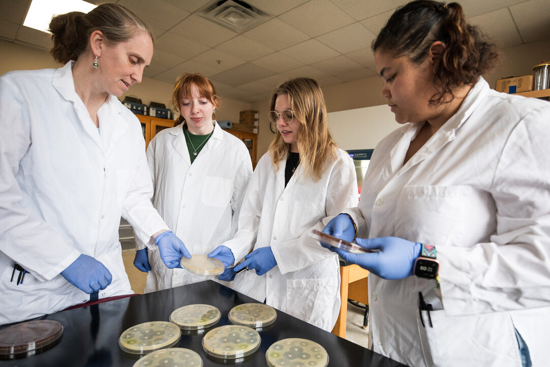 Nicole Podnecky and three studnets all wearing lab coats look over petri dishes laidout on a black table.