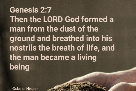 Principle One: Life and Dignity of the Human Person