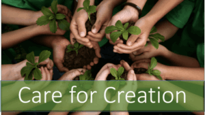 Principle Seven:  Care for God’s Creation