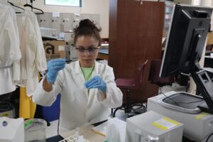 Algae: Problem or panacea? Summer research flips approach to water quality improvement