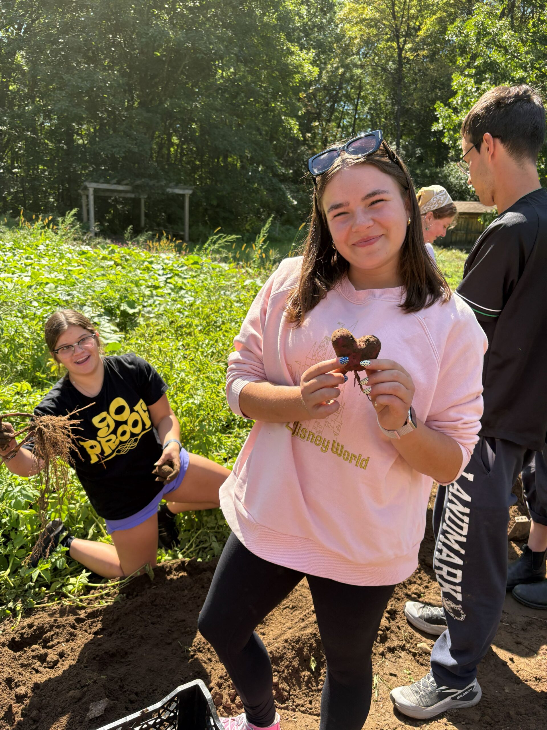 Garden Math for Everyone | Saint Michael's College