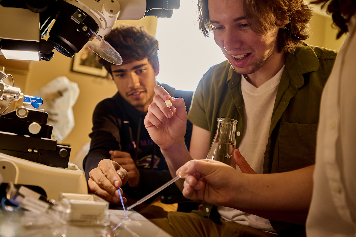male students collaborate on prepping a microscope slide.