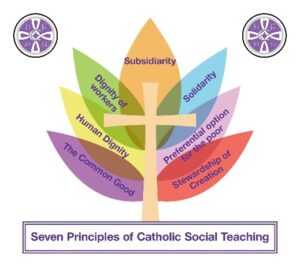 Seven Principles of Social Justice Image