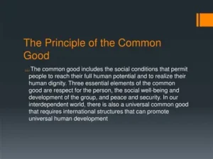 Panel defining the term "common good."