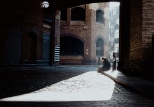 An English man sitting perfectly in the shaft of the warm morning sun.