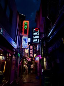 A vibrant alley tucked between bustling restaurants, neon-lit pubs, and late-night shops in Seoul, South Korea