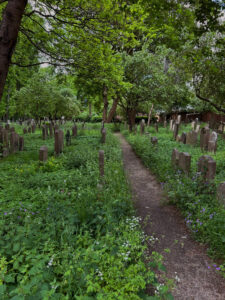 A cemetery in  Copenhagen, is a welcoming place for everyone to celebrate life.