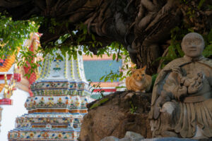 A cat rests beside a stone figure in one of the temples in Thailand